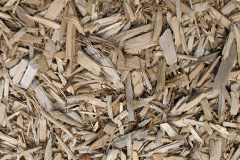 biomass boilers Treath