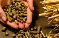 free Treath biomass boiler quotes