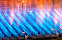 Treath gas fired boilers